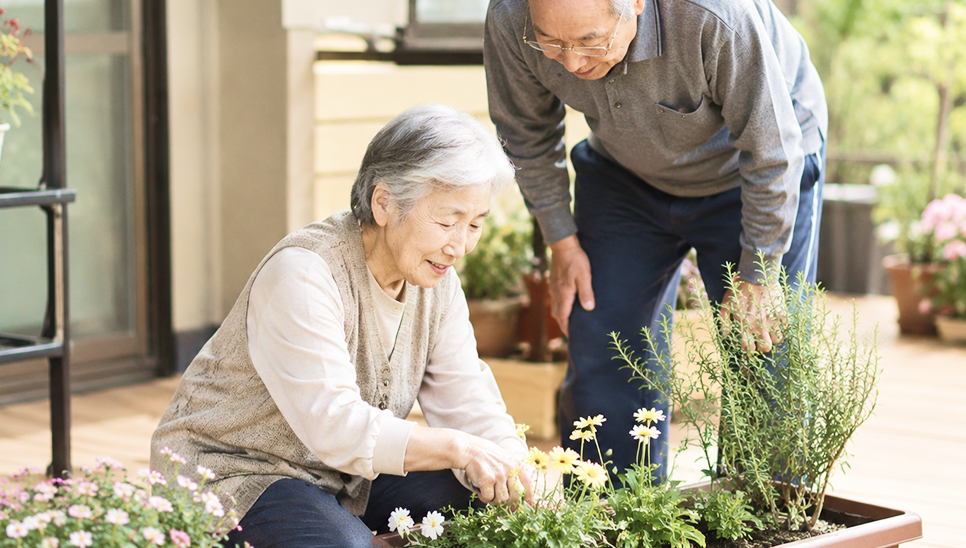 花を育てる高齢女性と男性