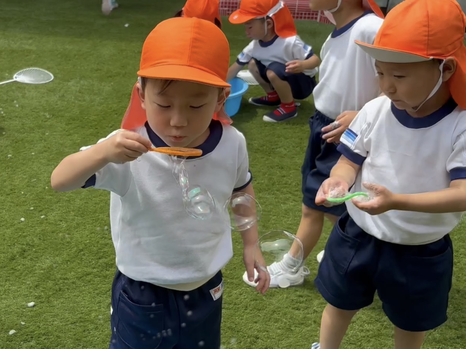 6月のらべんだーさん🪻