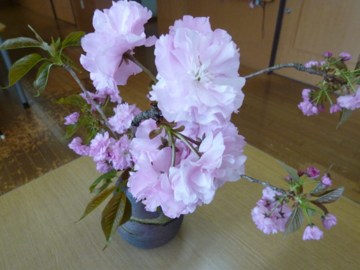 春のお食事　春のちらし寿司　桜のロールケーキ