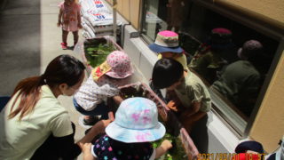 blog投稿画像