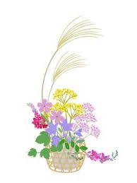 blog投稿画像