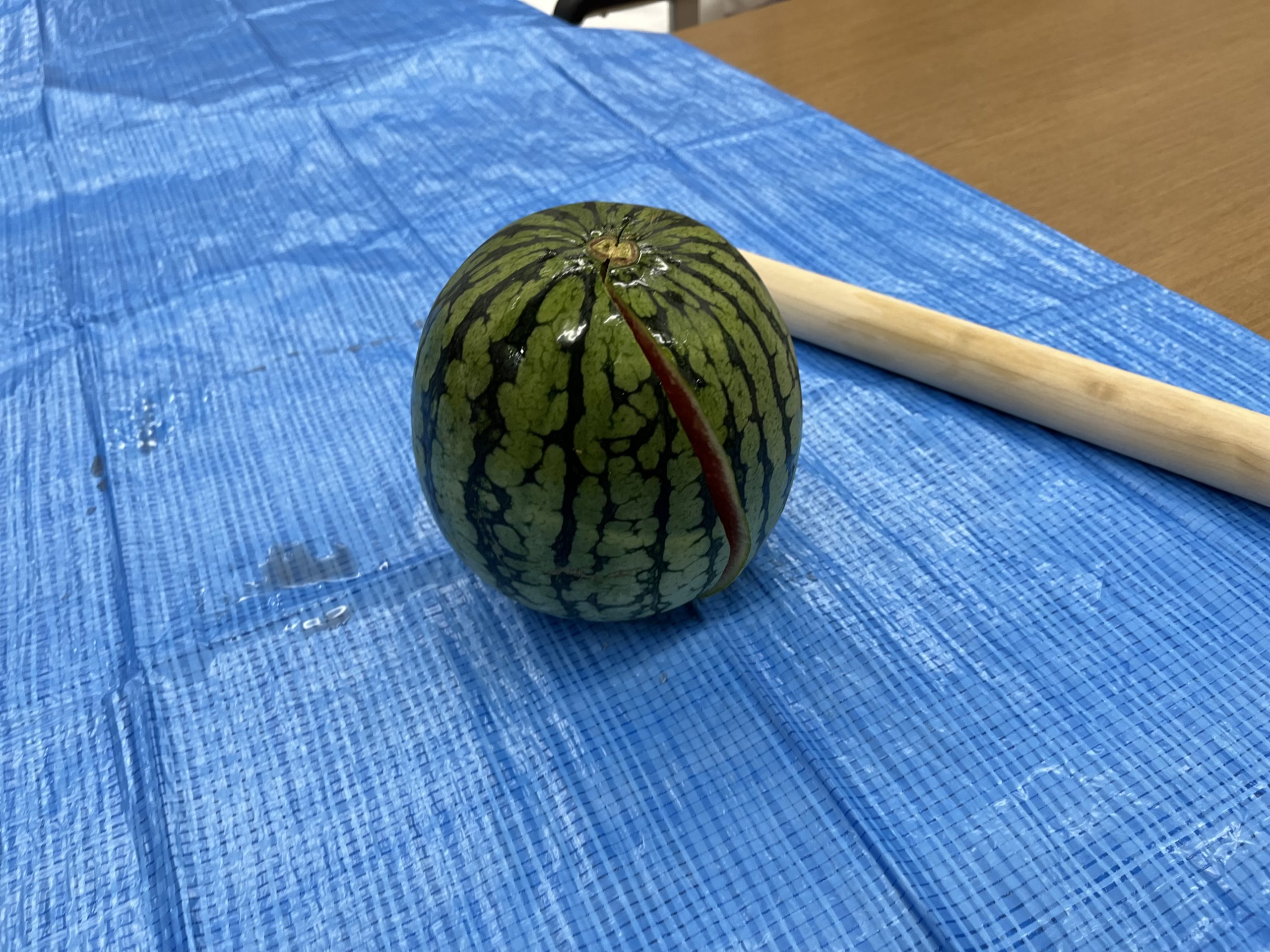 blog投稿画像